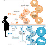 Alimentos-y-Drogas-contraindicadas-a-embarazadas