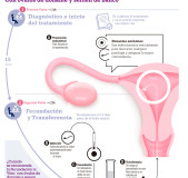 fecundacion-in-vitro-donantes