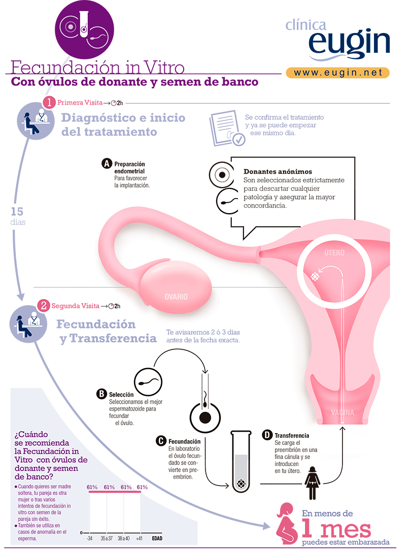 Infografías - Clínica Eugín: Visualización de Tratamientos Infografías - Clínica Eugín: Visualización de Tratamientos
