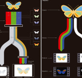 modelo-yuv-rgb