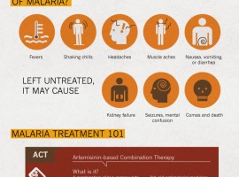 MalariaInfographic