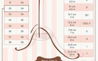 finding-perfect-bra